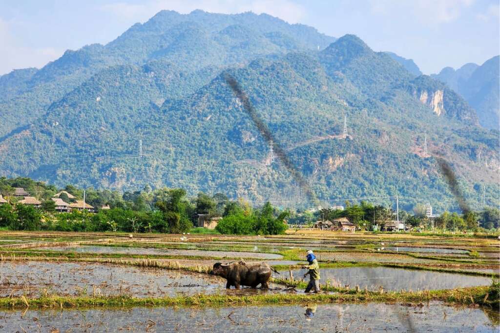 Beautiful moments of nature in Mai Chau