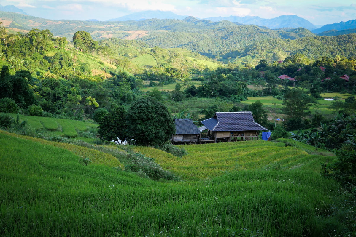 Beautiful moments of nature in Mai Chau