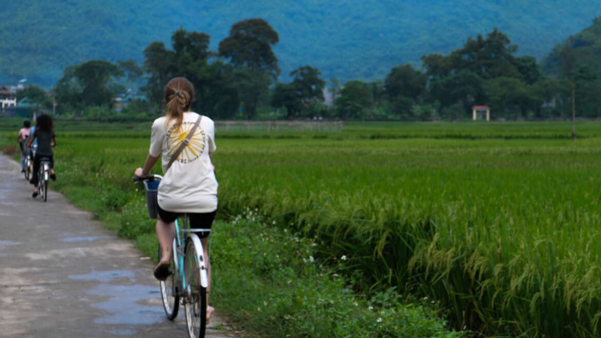 Cycling through the rice fields in Mai Chau