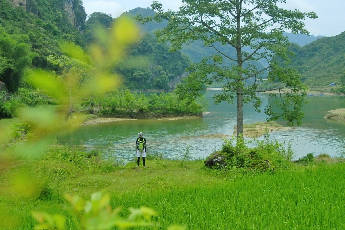 Enjoy the picturesque scenery of Cao Bang