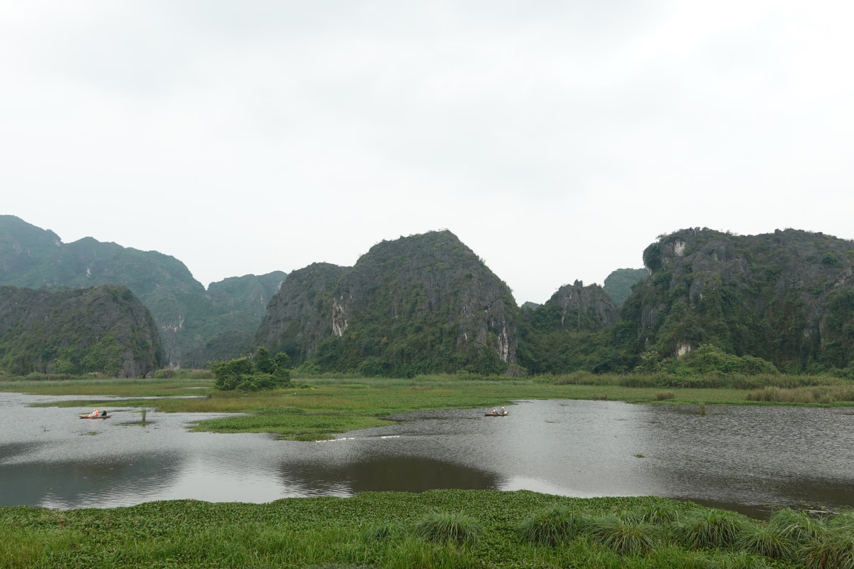 Sampan ride in Van Long Nature Reserve - Ninh Binh