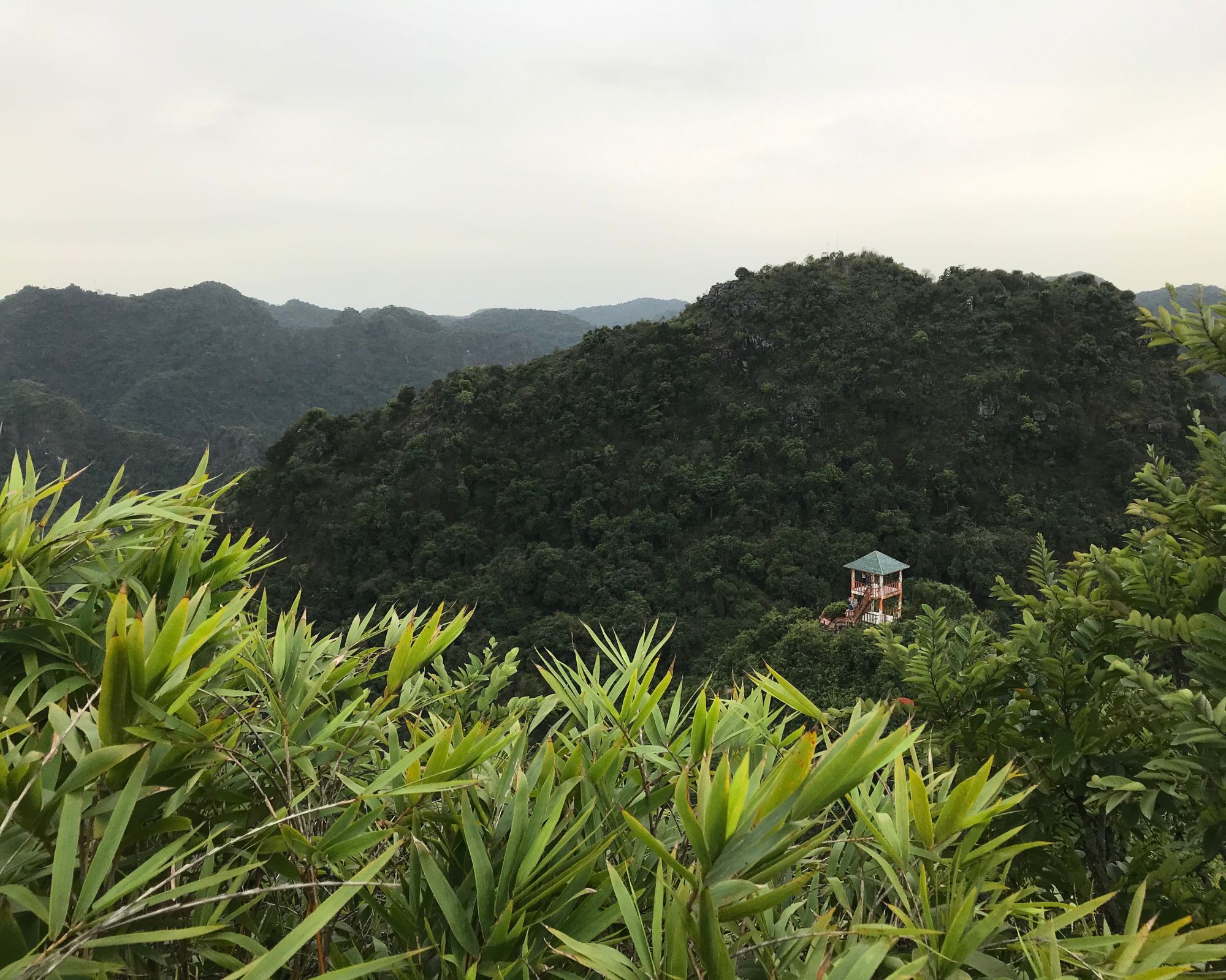 National Park in Cat Ba