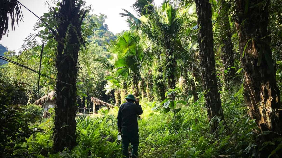 Trekking in Lam Thuong