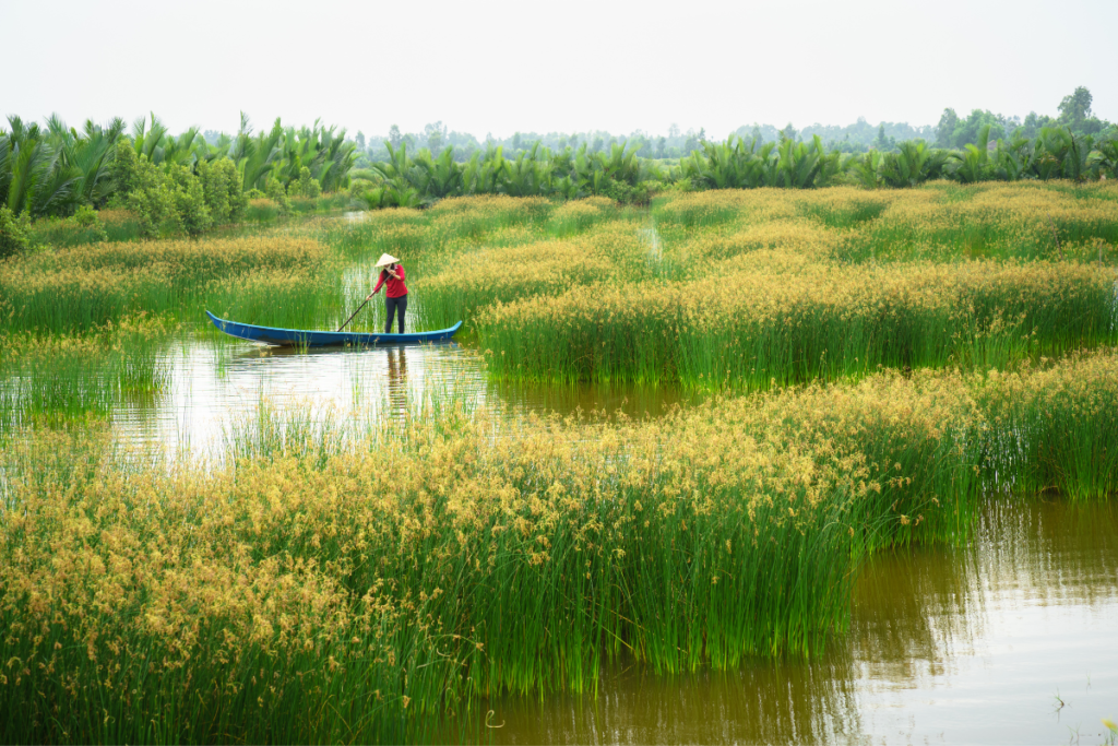 Mekong Delta