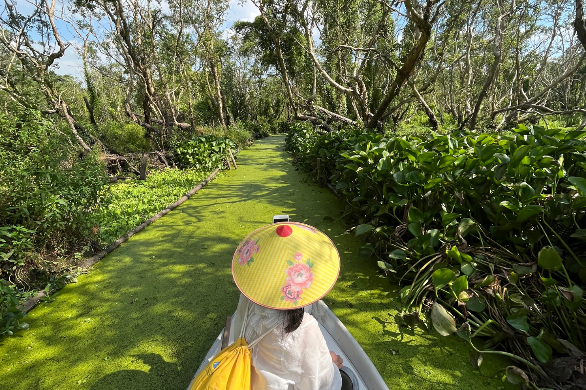 Floating along Tra Su cajuput by rustic boat