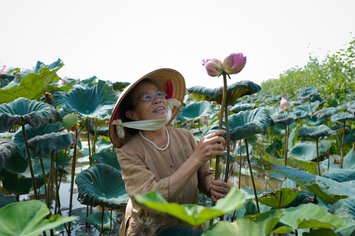 lotus craft village vietnam