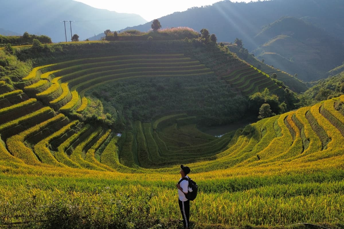 Rice terraces trekking in Mu Cang Chai