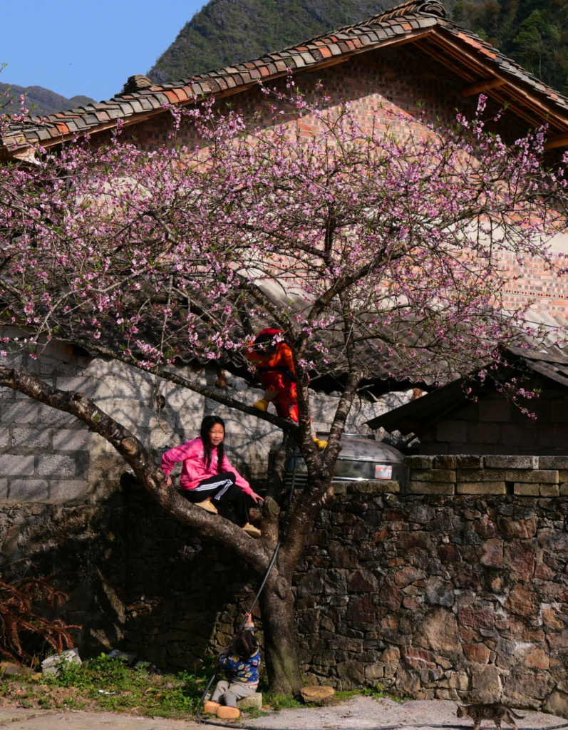 Children Playing in Ha Giang