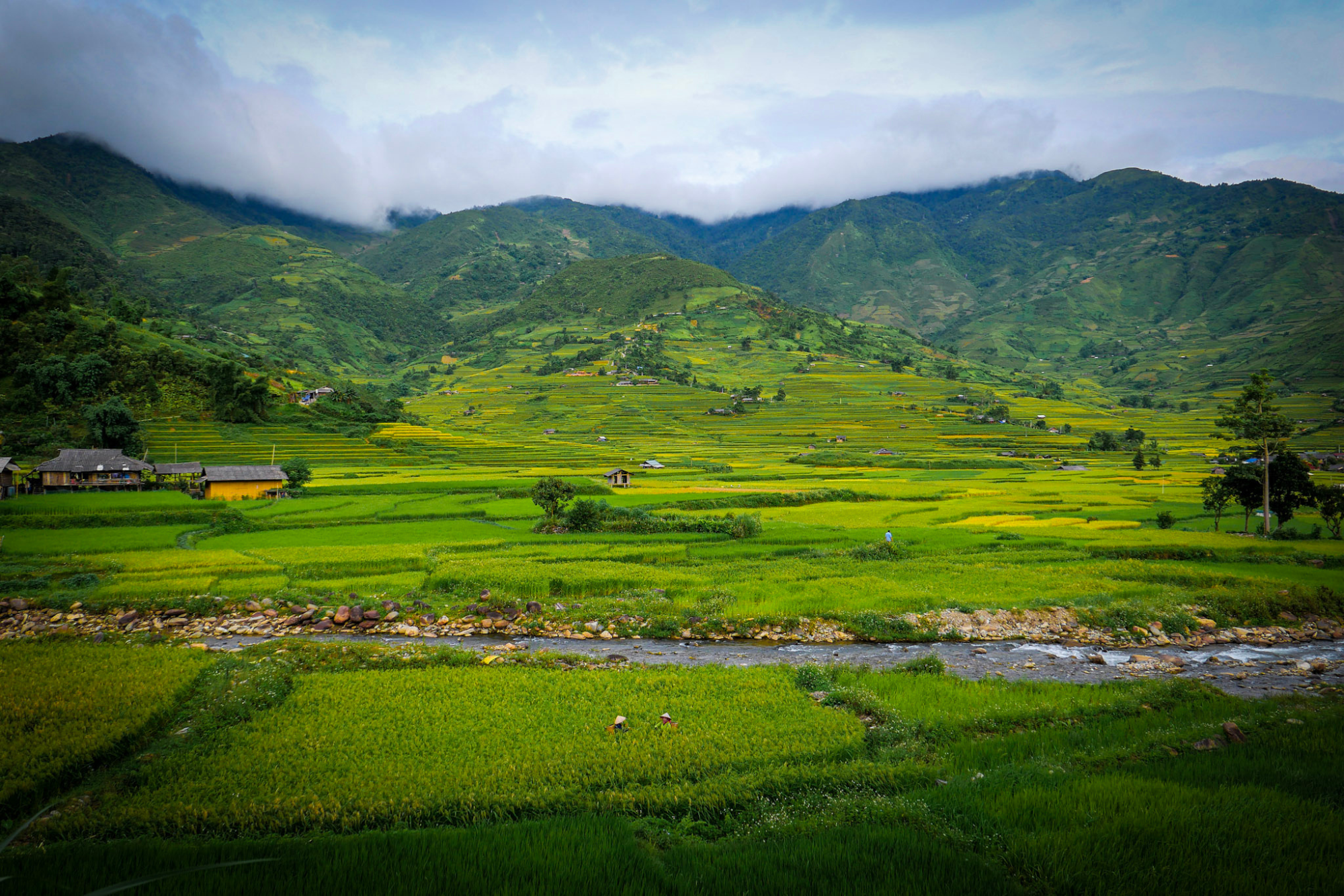 Mu Cang Chai DCT Responsible Travel