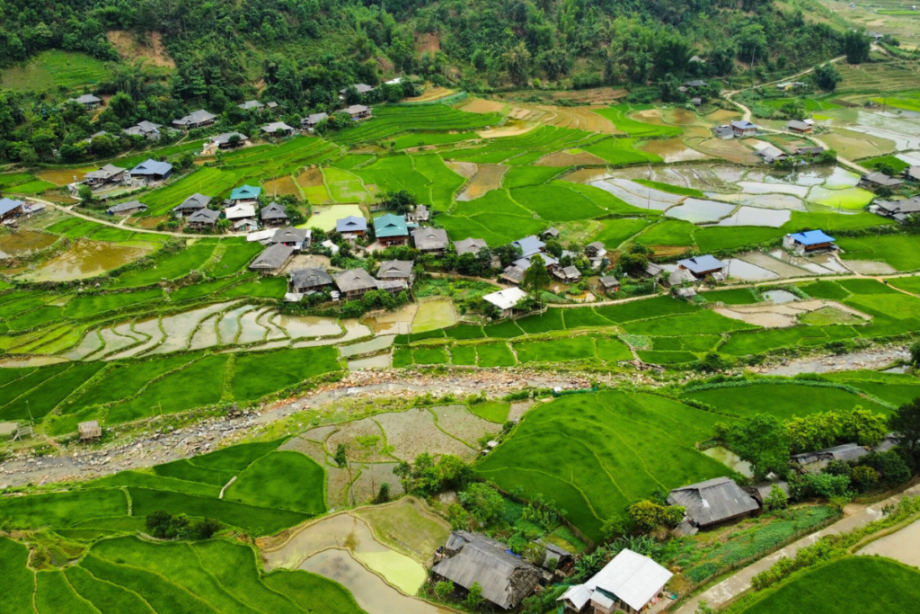 Mu Cang Chai in the winter - fallow season