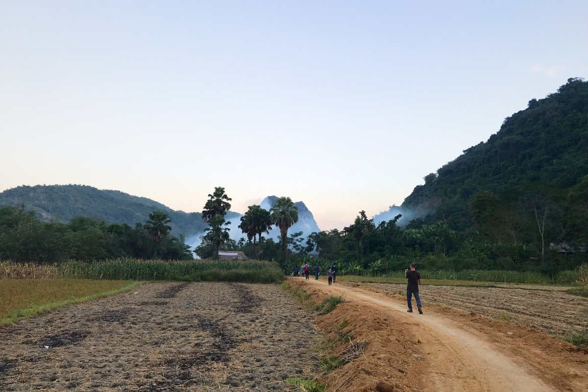 Tet is a rest for a new round of cultivation