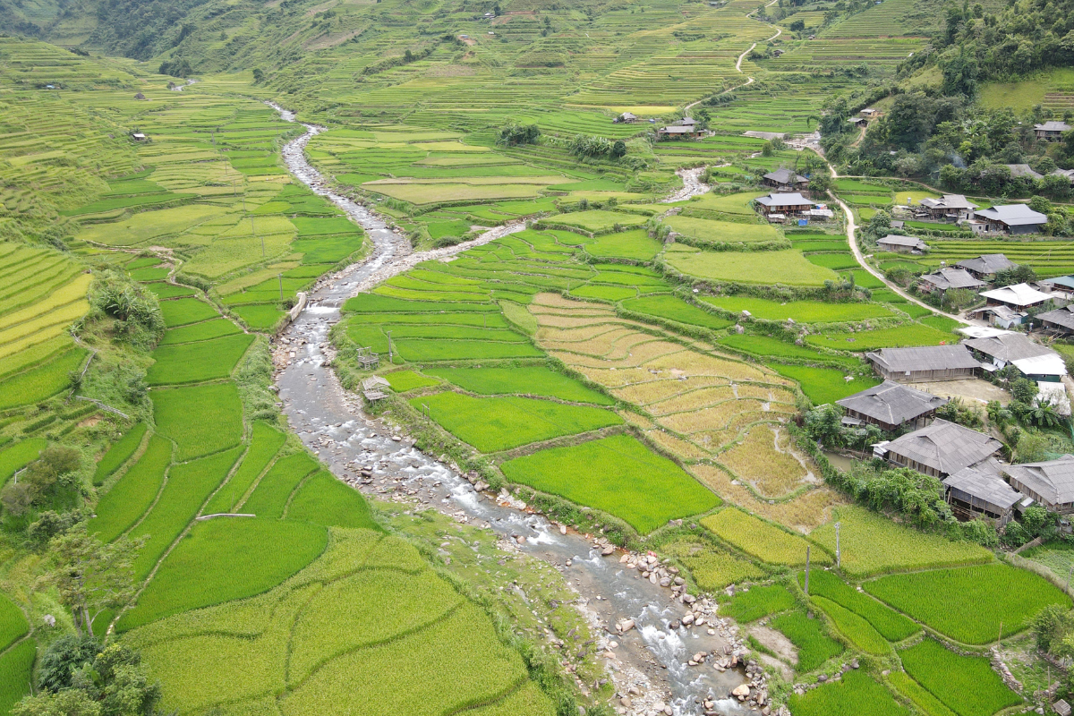 Rice terraces in Mu Cang Chai Vietnam