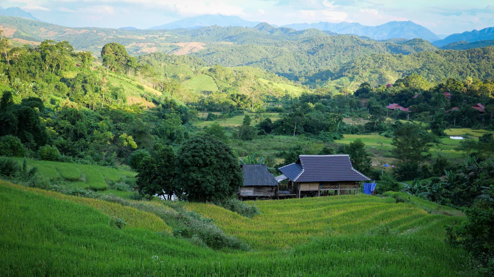 Completely being immersed into nature in Mai Chau