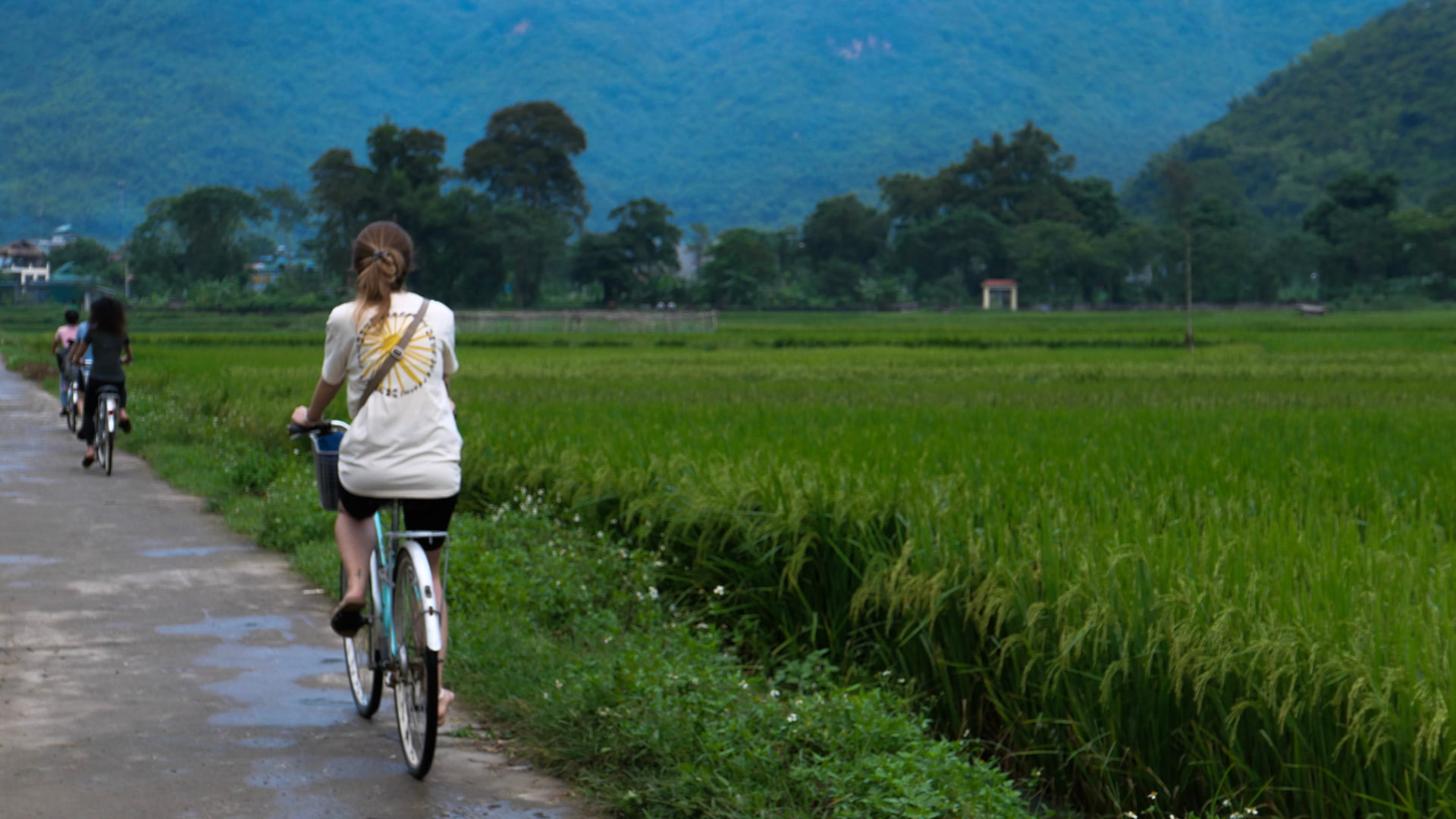 Cycling through the rice fields in Mai Chai