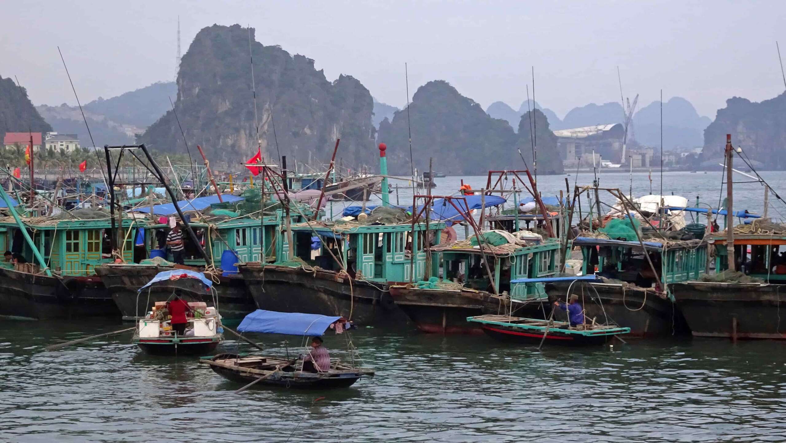 Immerse yourself in the life of fishermen in Cat Ba - Lan Ha