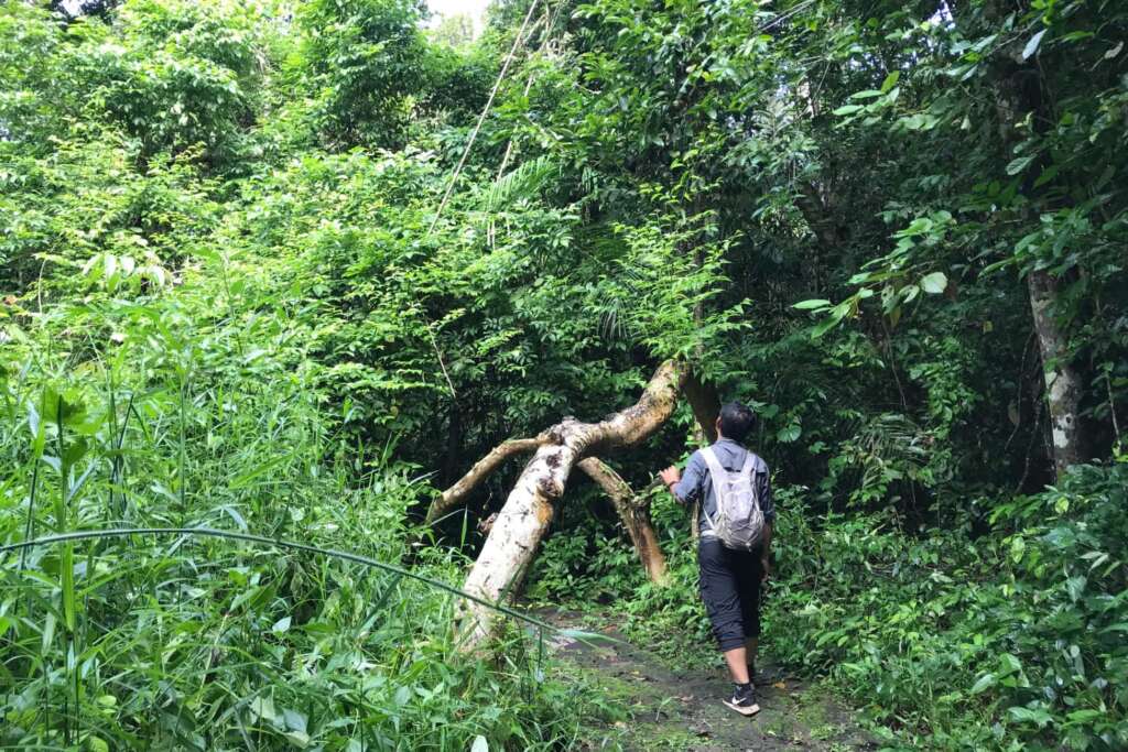 Trekking in Nam Cat Tien National Park