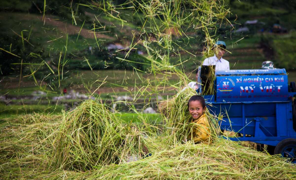 Be a Vietnamese farmer in Mu Cang Chai