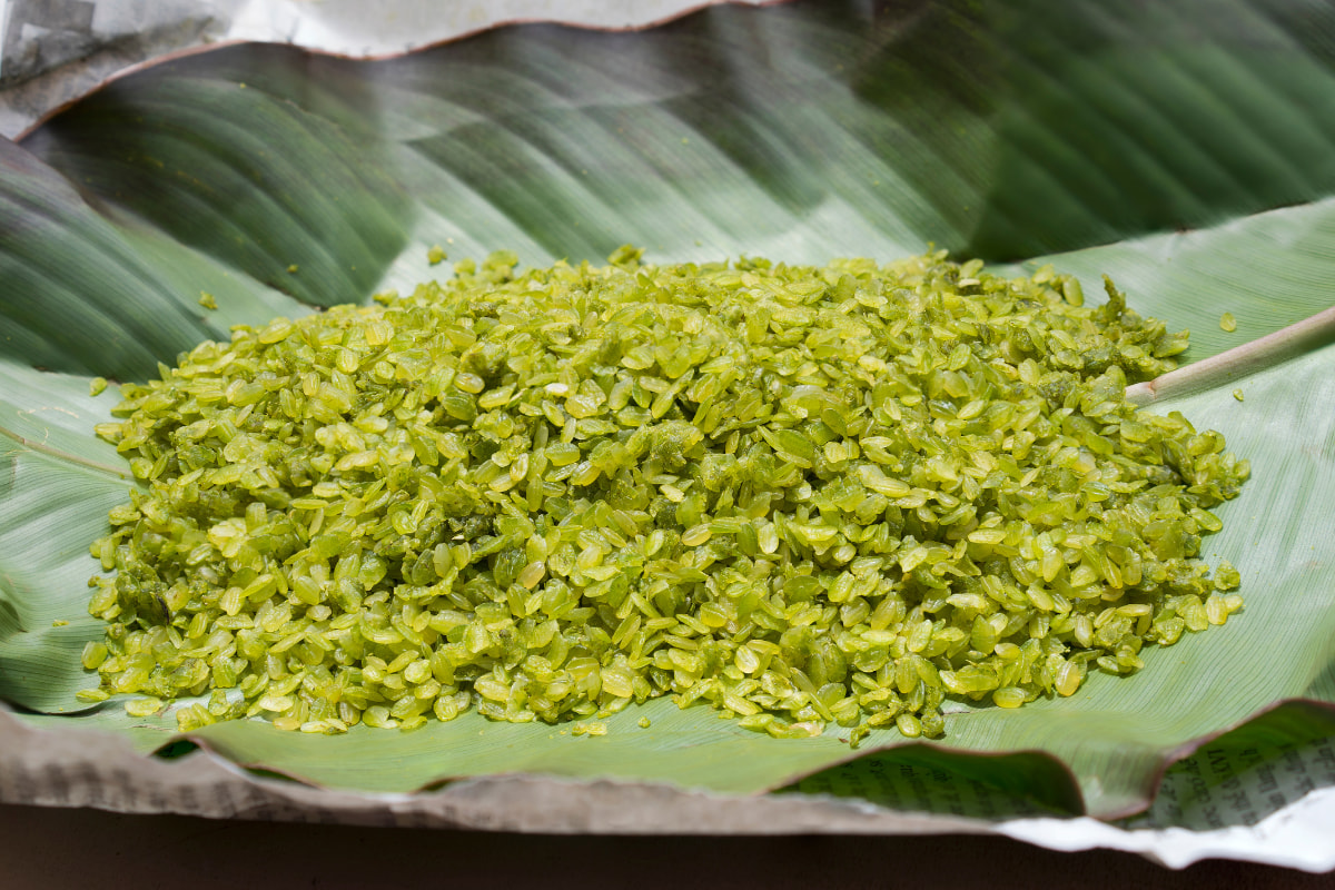 Hanoi young sticky rice