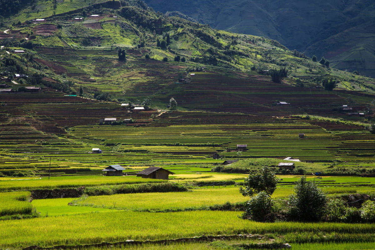 Magnificent rice terraces in Mu Cang Chai