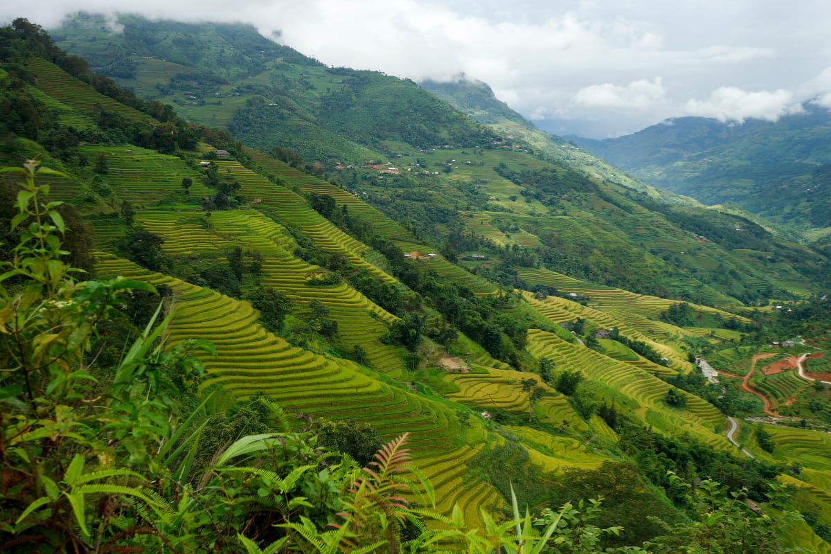 Hoang Su Phi - Ha Giang (5)