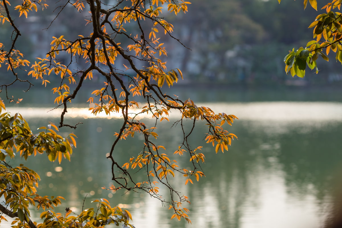 Autumn in Hanoi