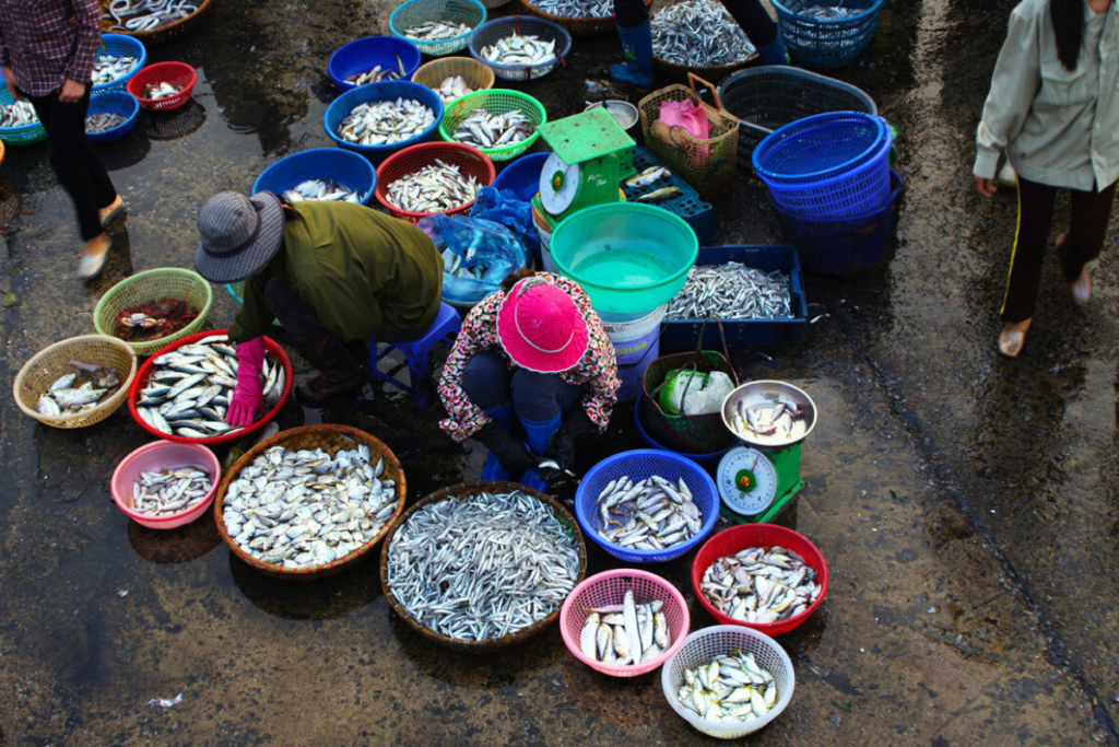 Colorful vibe of off-the-beaten-track fishing villages in Vietnam