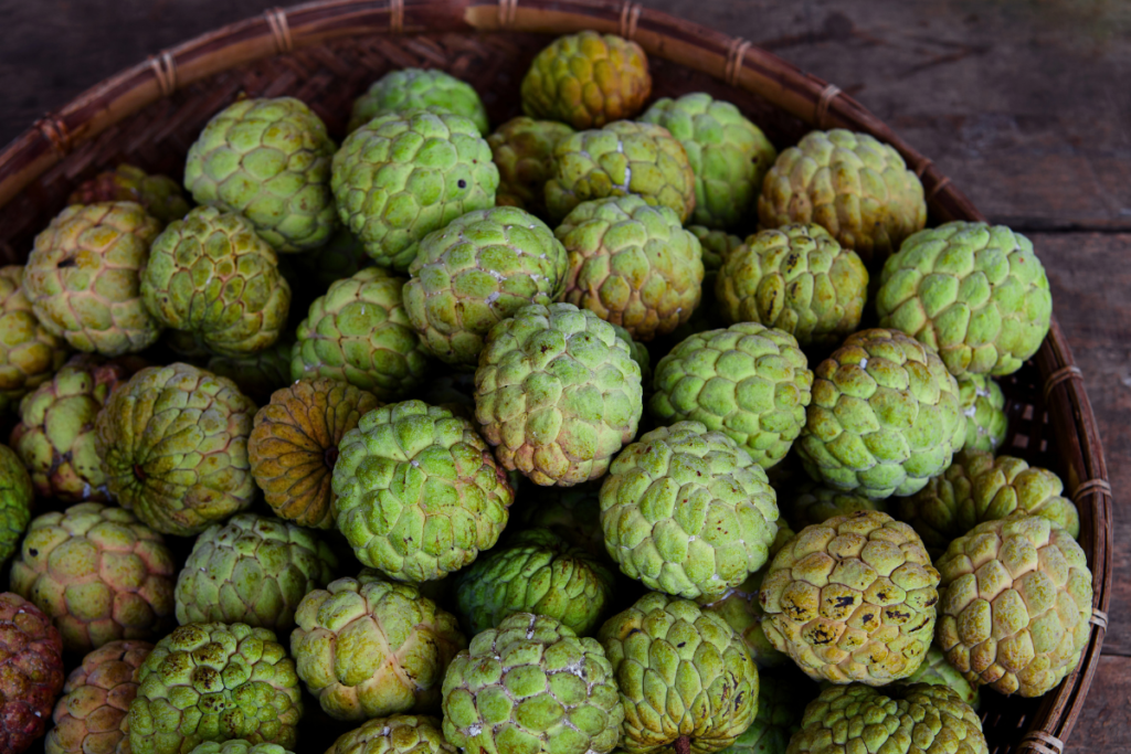 Custard apple