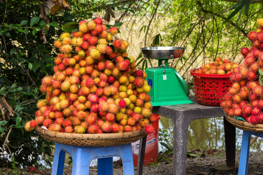 Rambutan