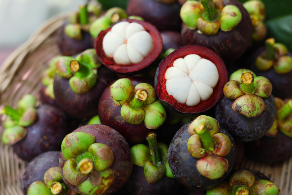 Mangosteen