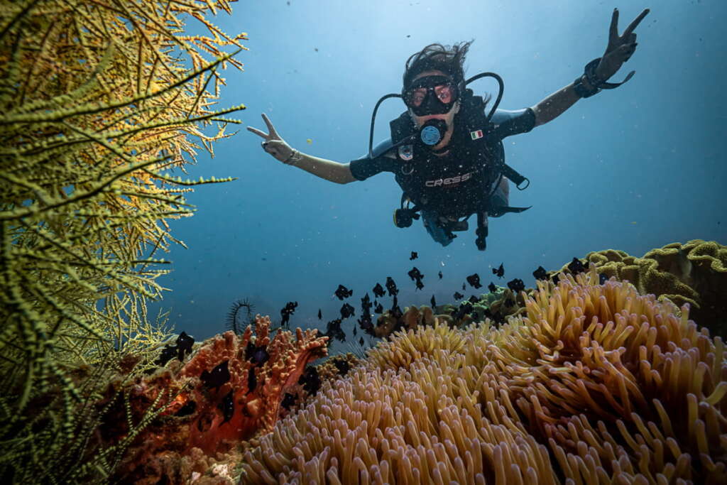 Snorlking to explore colorful world of sea
