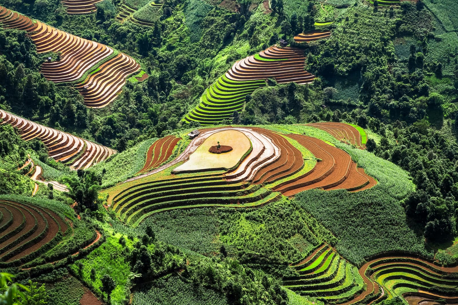 The water pouring season in Yên Bái