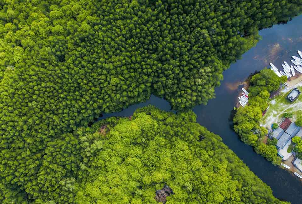 Cần Giờ Biosphere Reserve