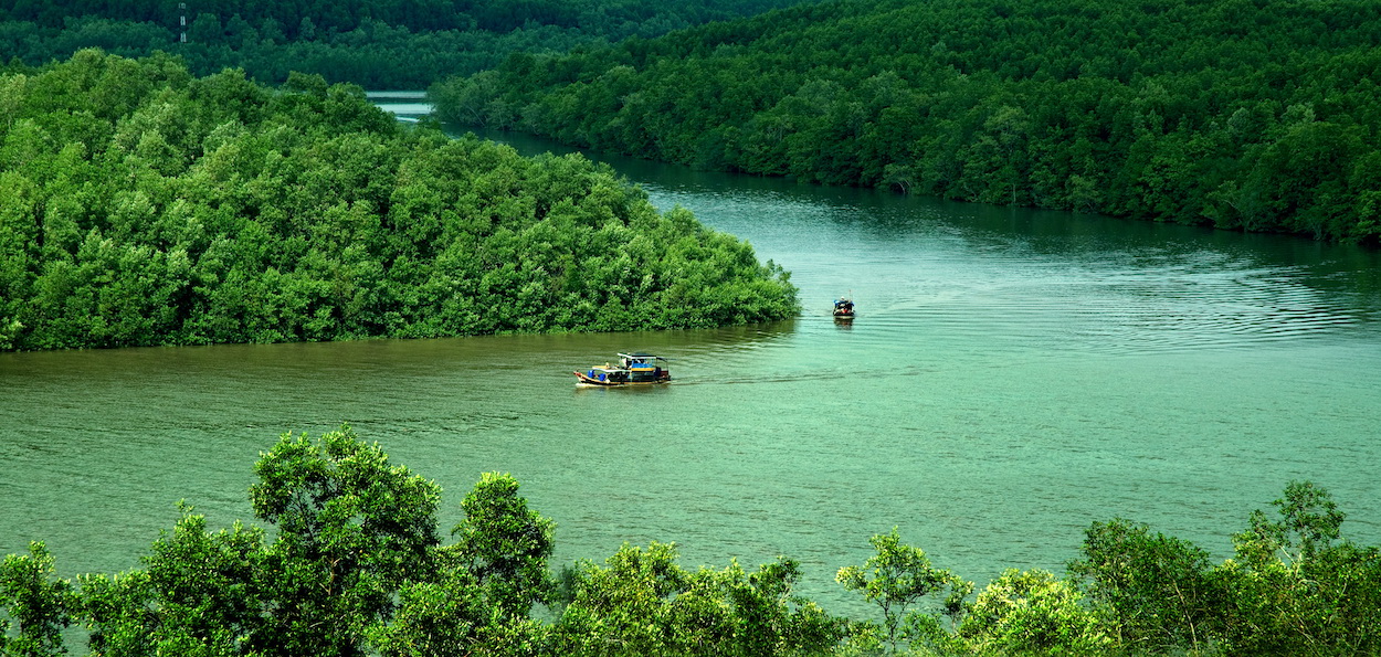 Can-Gio-Biosphere-Reserve