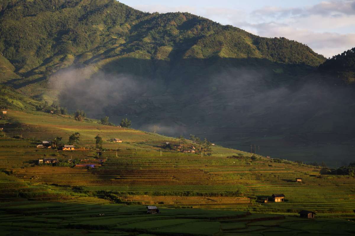 Rice terraces in Mu Cang Chai