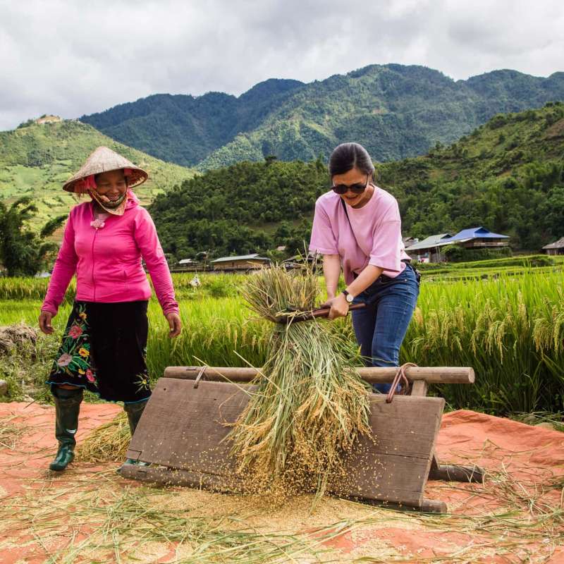 Join local friends in their fields to be a Vietnamese farmer!