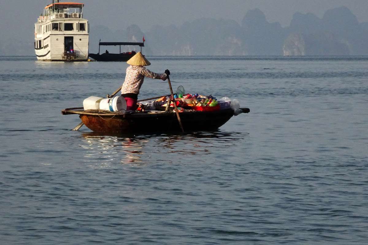 Witness the morning catch being brought in by fishing boats in the fish market