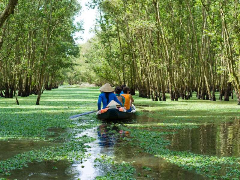 Lush nature of Mekong Delta