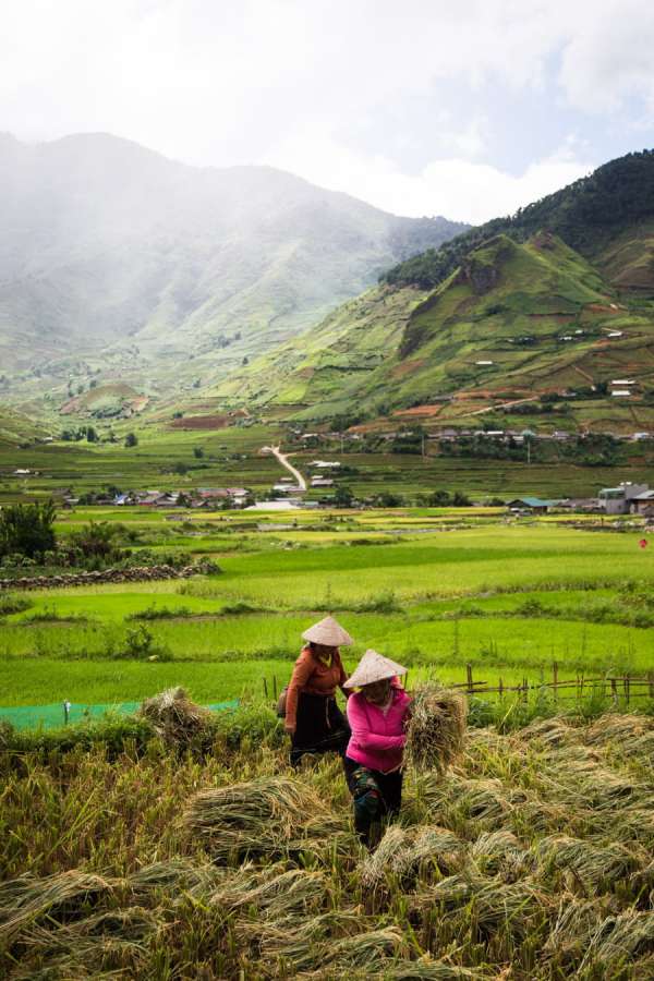 Mu Cang Chai