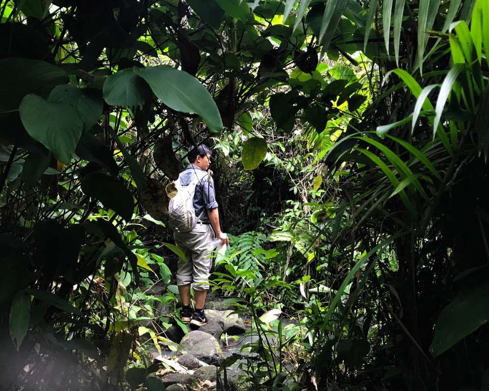 Nam Cat Tien National Park