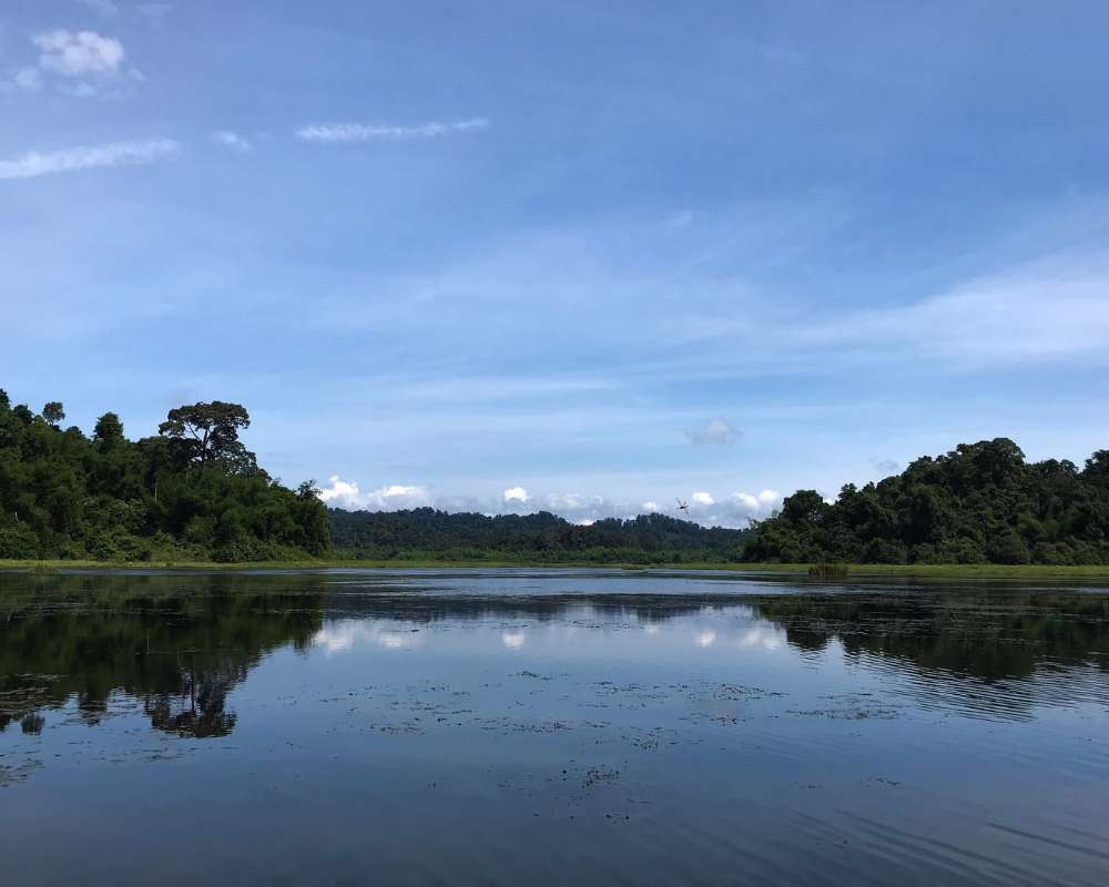 Nam Cat Tien (4) (1)